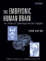 <div class=vernacular lang="en">The embryonic human brain an atlas of developmental stages /</div>