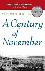 A Century of November: A Novel (Michigan Literary Fiction Awards)