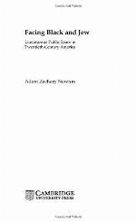 Facing Black and Jew : literature as public space in twentieth-century America