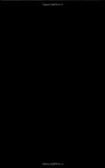 Currency Competition and Foreign Exchange Markets