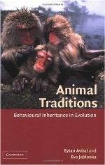 Animal Traditions
