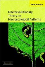 Macroevolutionary theory on macroecological patterns