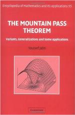 The Mountain Pass Theorem