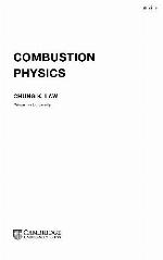 Combustion physics