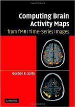 Computing brain activity maps from fMRI time-series images