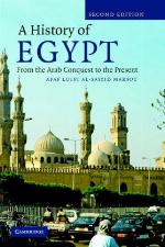 A history of Egypt : from the Arab conquest to the present