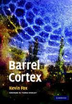 Barrel Cortex