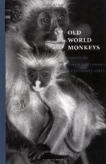 Old World Monkeys