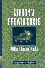 Neuronal Growth Cones
