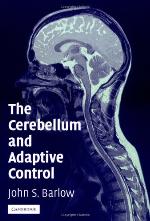 The Cerebellum and Adaptive Control