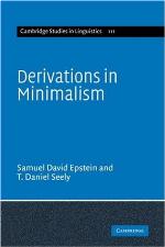 Derivations in Minimalism
