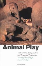 Animal Play