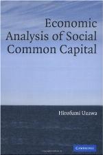 Economic Analysis of Social Common Capital