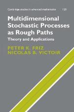 Multidimensional Stochastic Processes as Rough Paths : Theory and Applications.