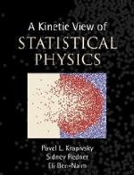 A Kinetic View of Statistical Physics.