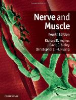 Nerve and muscle