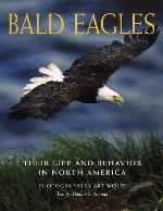 Bald Eagles: Their Life and Behavior in North America
