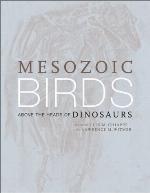 Mesozoic Birds