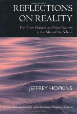 Reflections on Reality