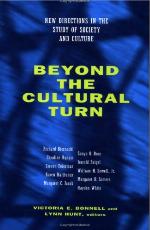 Beyond the Cultural Turn