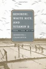Beriberi, White Rice, and Vitamin B