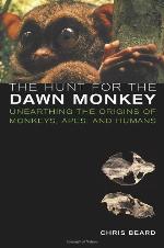 The Hunt for the Dawn Monkey: Unearthing the Origins of Monkeys, Apes, and Humans