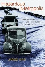 Hazardous Metropolis