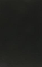 Siegfried Kracauer's American Writings