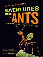 Adventures among Ants