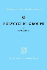 Polycyclic Groups