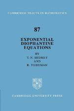 Exponential Diophantine Equations