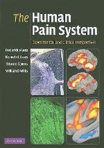 The Human Pain System