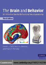 The Brain and Behavior