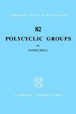 Polycyclic Groups