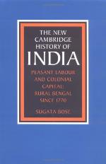 The New Cambridge History of India, Volume 3, Part 2