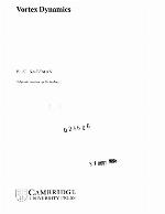 Vortex Dynamics