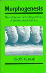 Morphogenesis