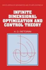Infinite Dimensional Optimization and Control Theory