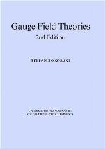 Gauge Field Theories