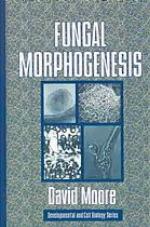 Fungal Morphogenesis