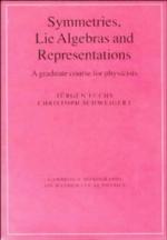 Symmetries, Lie Algebras and Representations