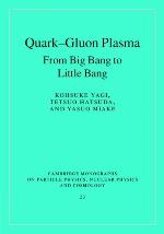 Quark-Gluon Plasma
