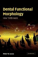 Dental Functional Morphology