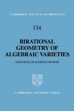 Birational Geometry of Algebraic Varieties