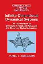 Infinite-Dimensional Dynamical Systems