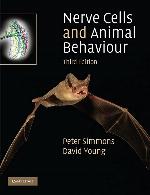 Nerve Cells and Animal Behaviour