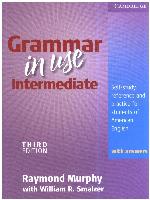 Grammar in Use Intermediate