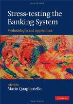 Stress-Testing the Banking System