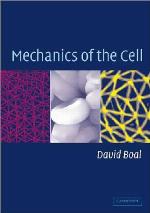 Mechanics of the Cell
