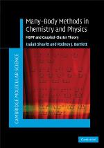Many-Body Methods in Chemistry and Physics